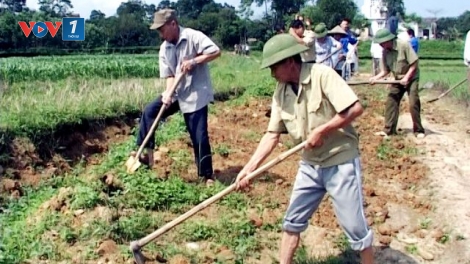 Gương điển hình cựu chiến binh nặng lòng với nông nghiệp, nông dân (27/7/2019)