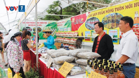 Mô hình mỗi làng một sản phẩm trong xây dựng nông thôn mới (11/7/2019)