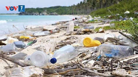 Làm sạch để cuộc sống đáng sống hơn (23/7/2019)