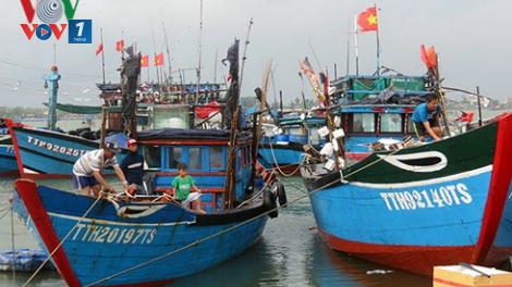 Kiểm soát cảng cá, bến cá trong chống khai thác IUU (18/7/2019)