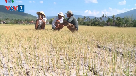 Thừa thiếu nước và câu chuyện quản lý (26/7/2019)