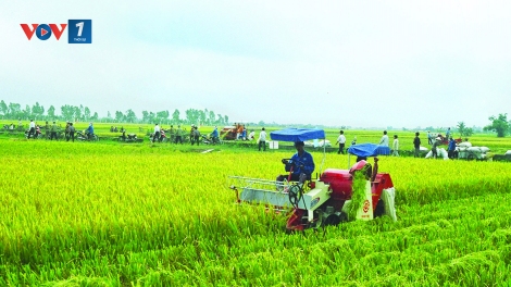 Đáp ứng nhu cầu thông tin để tăng hiệu quả sản xuất cho nông dân (11/7/2019)