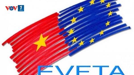 Doanh nghiệp chuẩn bị như thế nào cho hội nhập EVFTA? (21/8/2019)