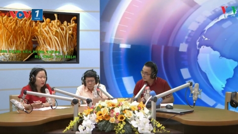 Công dụng của đông trùng hạ thảo với thận (17/8/2019)