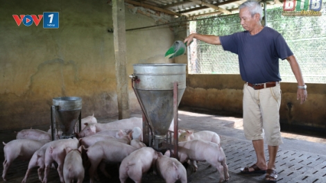 Nông thôn nhìn từ tiêu chí nâng cao thu nhập cho người dân (29/8/2019)