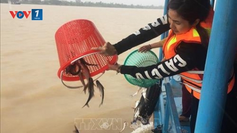 Giải pháp bảo vệ nguồn lợi thủy sản hạn chế hành vi khai thác bất hợp pháp (26/8/2019)