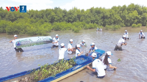 Chuyển đổi sinh kế ứng phó với biến đổi khí hậu (20/8/2019)