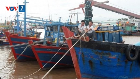 Kiến thức ứng phó với bão và áp thấp nhiệt đới khi đang đánh bắt trên biển (2/8/2019)