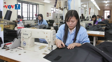 Vì sao doanh nghiệp tư nhân "không chịu lớn"? (13/8/2019)
