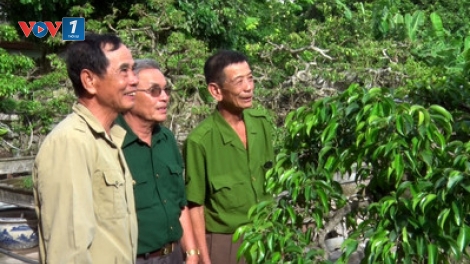 Một số mô hình phát triển kinh tế của cựu chiến binh tỉnh Ninh Bình (12/8/2019)