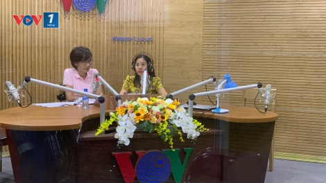Các giải pháp phòng ngừa sâu keo mùa thu gây hại (20/8/2019)