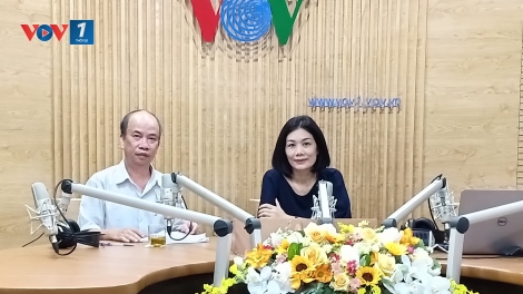 Quản lý tàu cá ra vào cảng theo Thông tư 21, Bộ Nông nghiệp và phát triển nông thôn (31/8/2019)