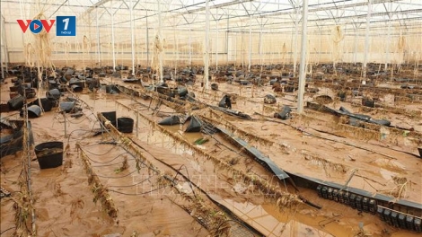 Khắc phục thẻ vàng IUU và diện mạo mới cho nghề cá Việt Nam. (14/8/2019)
