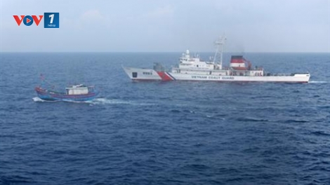 Bộ tư lệnh Vùng Cảnh sát biển 1: Giữ gìn màu xanh của biển (20/8/2019)