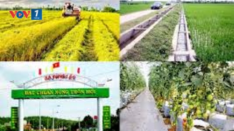 Đẩy mạnh xây dựng nông thôn mới ở khu vực miền núi phía Bắc (10/8/2019)