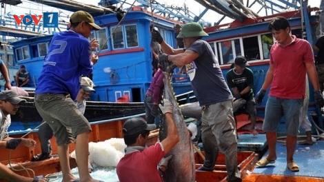 Sự vào cuộc của lực lượng chức năng gỡ thẻ vàng của Ủy ban Châu Âu (22/8/2019)