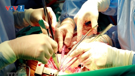 Bước tiến mới trong ghép tạng tại Việt Nam (26/8/2019)