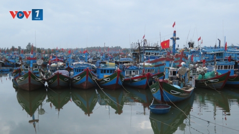 Quảng Ngãi chấm dứt tình trạng đánh bắt hải sản bất hợp pháp (24/8/2019)
