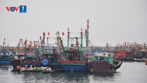 Hiệp định phân định Vịnh Bắc Bộ và Hiệp định Hợp tác nghề cá Việt Nam - Trung Quốc: Khuôn khổ pháp lý trong quản lý bảo vệ biển (30/9/2019)