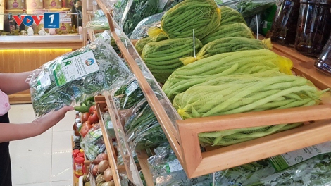 Nâng cao trách nhiệm của chính quyền và ý thức của người chăn nuôi để ngăn chặn có hiệu quả nguy cơ bùng phát dịch cúm gia cầm (5/9/2019)