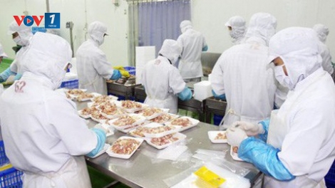 Nâng cao năng lực sản xuất, gắn sản xuất với xuất khẩu (25/9/2019)