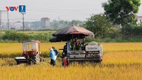 Mô hình Hợp tác xã thích ứng biến đổi khí hậu ở đồng bằng sông Cửu Long (25/9/2019)
