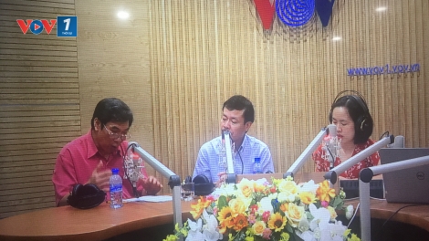 Tái đàn và dự báo nhu cầu thịt lợn dịp cuối năm (29/9/2019)