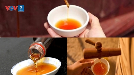 Dự án phát triển thương hiệu nước mắm Hải Ngư Long (1/9/2019)
