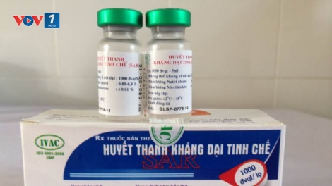 Vì sao thiếu vaccine phòng bệnh dại trên người? (6/9/2019)