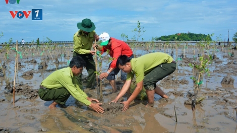 Những giải pháp cấp bách cần thực hiện đồng bộ để cứu lấy vùng đất châu thổ Cửu Long (23/9/2019)