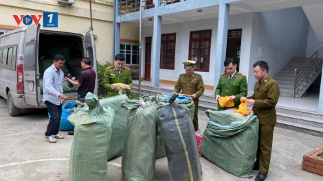 Lực lượng quản lý thị trường bước vào năm 2020 bằng trọng trách mới, tâm thế mới (14/1/2020)