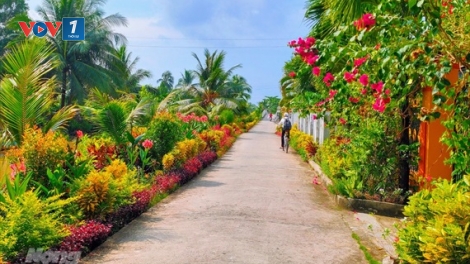 Xuân về trên vùng nông thôn mới Phước Long (22/1/2020)