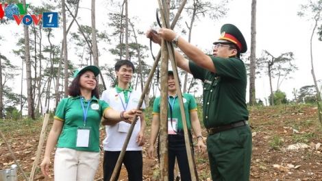 Tết trồng cây gắn với công tác quản lý, phát triển rừng (30/1/2020)