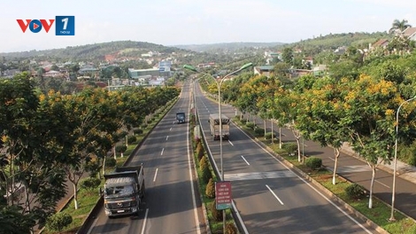 Bạn hữu đường xa (20/1/2020)