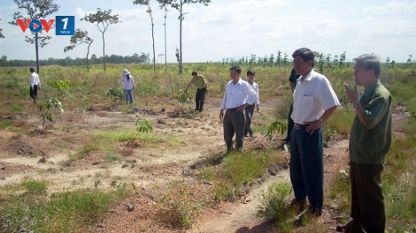 Tăng cường vai trò giám sát của người dân trong quản lý, sử dụng đất đai (21/1/2020)