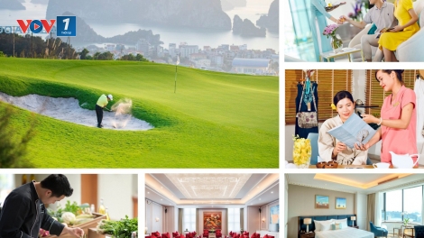Du lịch Việt Nam 2019: Điểm sáng trong thập kỷ phát triển của du lịch (20/1/2020)
