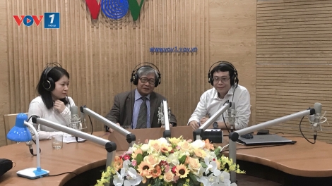 Bạo lực gia đình và những hệ lụy với trẻ em (4/1/2020)