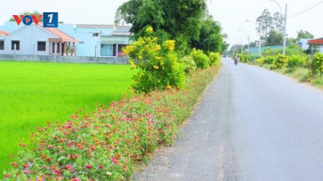 Năm mới trên những làng quê nông thôn mới (3/1/2020)