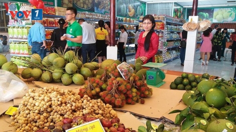 Đâu là nguyên nhân của tình trạng sụt giảm lượng rau quả xuất khẩu năm 2019? (6/1/2020)