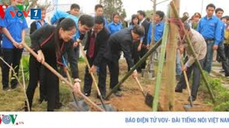 Nhớ lời Bác: Mùa xuân là Tết trồng cây (30/1/2020)