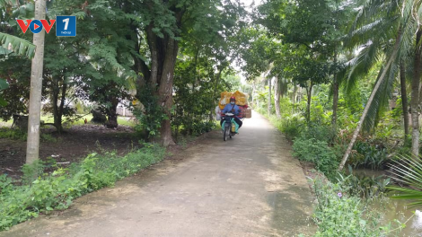 Bến Tre: Đảng viên cao niên hiến đất làm đường nông thôn (6/10/2020)