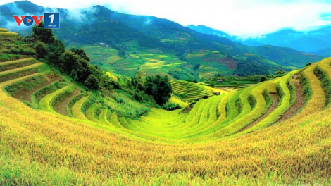 Kiểm soát tốt dịch Covid-19, du lịch Mù Cang Chải (Yên Bái) sôi động trở lại (6/10/2020)