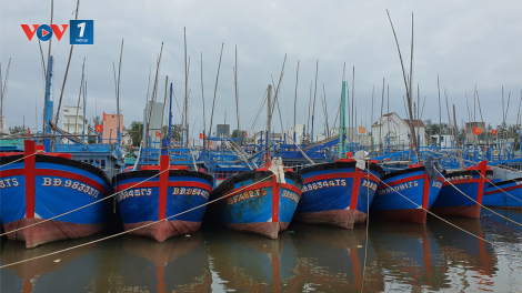 Bình Định: Kêu gọi cứu hộ 8 tàu cá đang gặp nguy hiểm (27/10/2020)