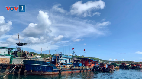 Tăng cường quản lý lao động tham gia hoạt động khai thác thuỷ sản (08/10/2020)