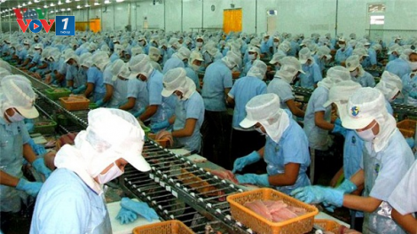 Giải pháp gỡ thẻ vàng của EC đối với hải sản Việt Nam (09/10/2020)