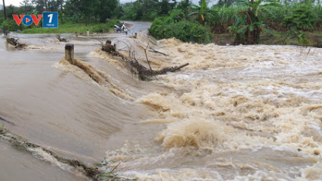 Tăng cường quản lý lao động tham gia hoạt động khai thác thuỷ sản (08/10/2020)