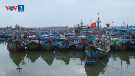 Chấm dứt khai thác thuỷ sản bất hợp pháp…IUU (05/10/2020)