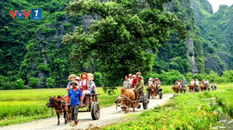 Du lịch nông thôn: Hướng phát triển tiềm năng của tỉnh Ninh Bình (Ngày 19/11/2020)