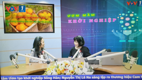 Startup Cam Vinh Kỳ Yến- Hành trình khởi nghiệp xây dựng thương hiệu cho đặc sản địa phương. (08/11/2020)