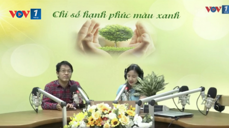 Trồng cây xanh chính là tạo ra chỉ số hạnh phúc màu xanh (22/11/2020)